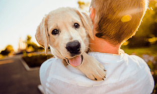 Cuidados para mi mascota